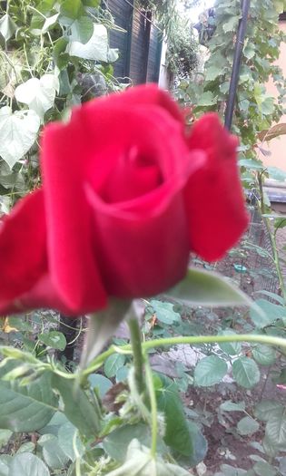 20151004_171844