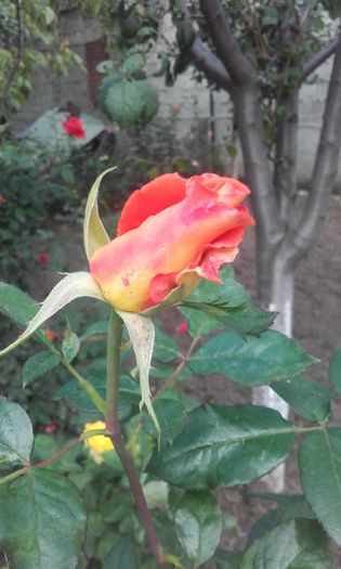 20151004_171932