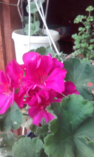 20151004_172249