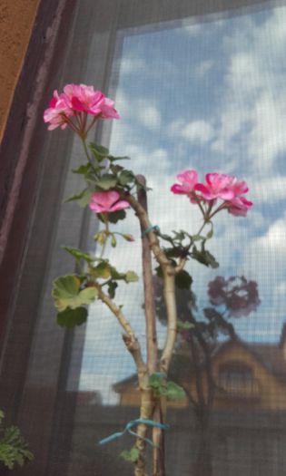 20151004_171641