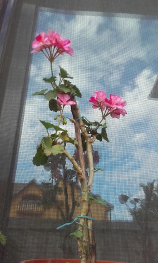20151004_171645