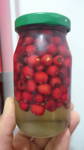 Paducel in miere de salcam - Fructe de padure in miere