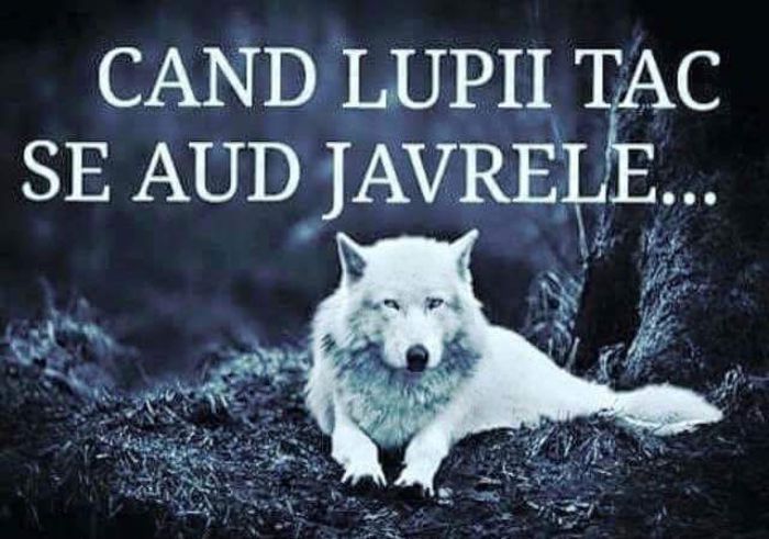 12071406_1026722010680261_1967510260_n