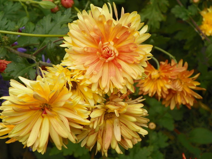 5 oct 048
