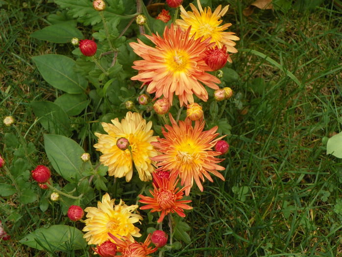 5 oct 029