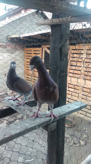 IMAG0282