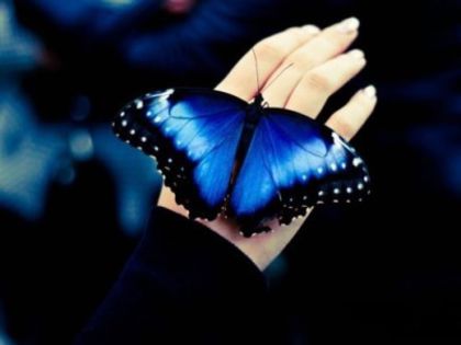 Emo   Butterfly in the Night; You are my that everyone doesnt knows me and you are a secret influence...My butterfly!
