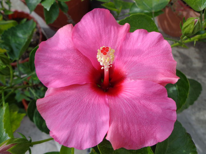 DSC00961