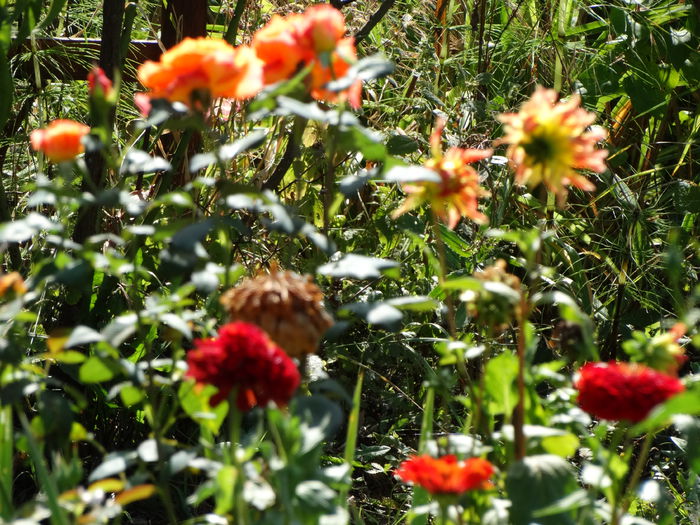 sfarsit de septembrie