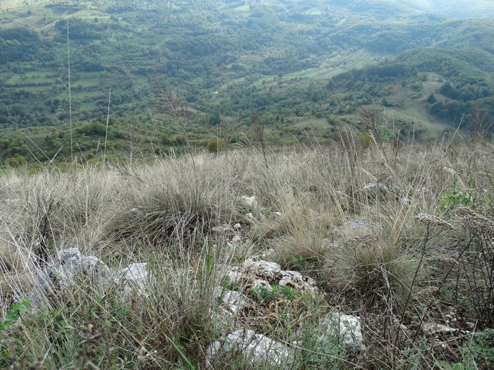 DSC04057