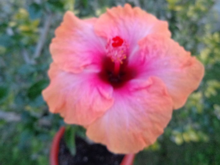 DSC00915