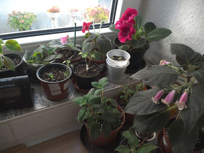 Ne pregatim de pauza