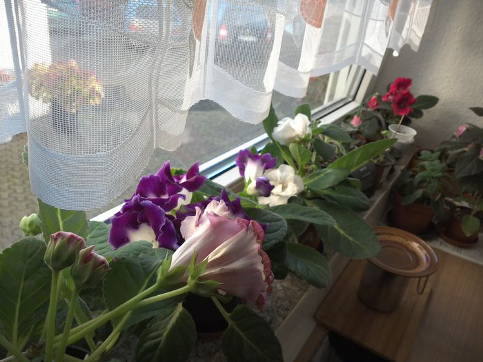 Ne pregatim de pauza