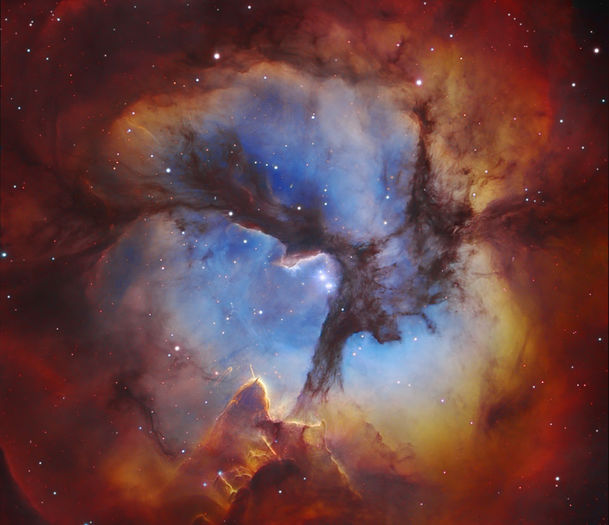 trifid_gendler_960