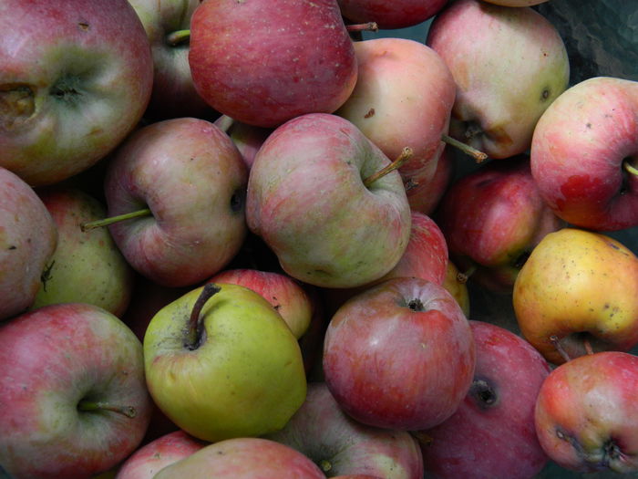 DSCN0231 - 2015_OCTOMBRIE