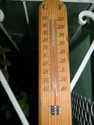 DSCN0307 - 2015_OCTOMBRIE