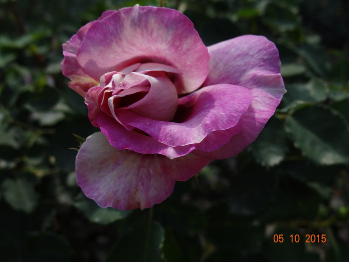 Eyes for You - E toamna iar