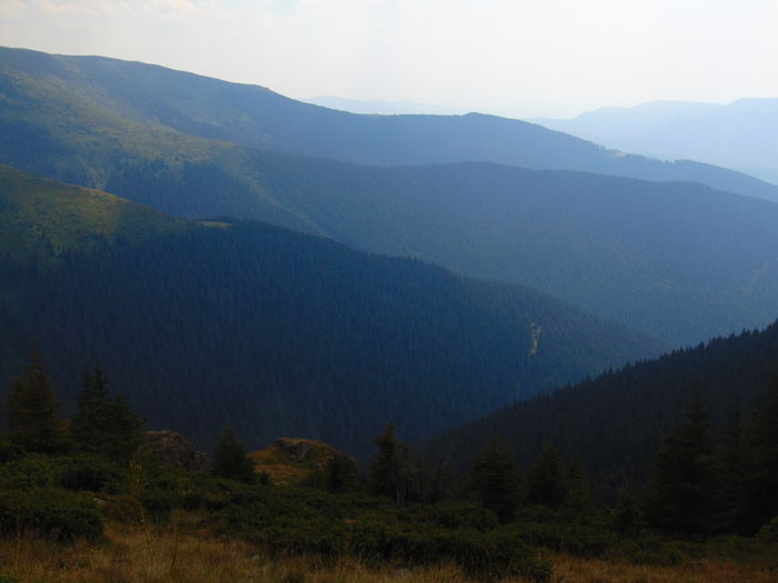 DSC09665