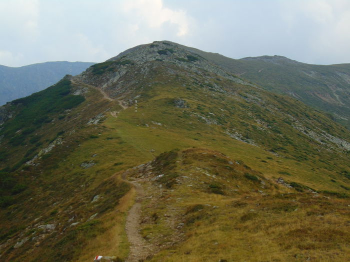 DSC09683