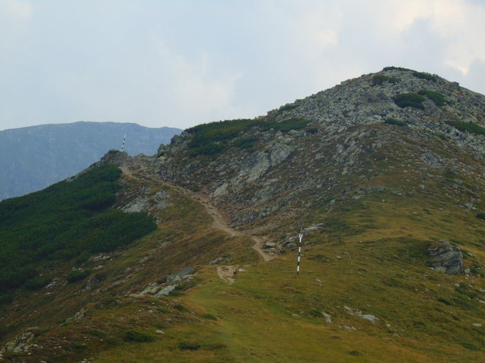DSC09686