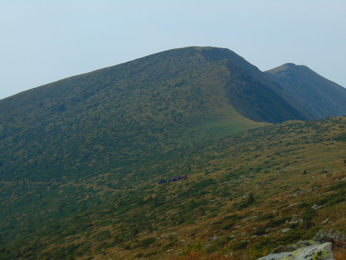 DSC09687