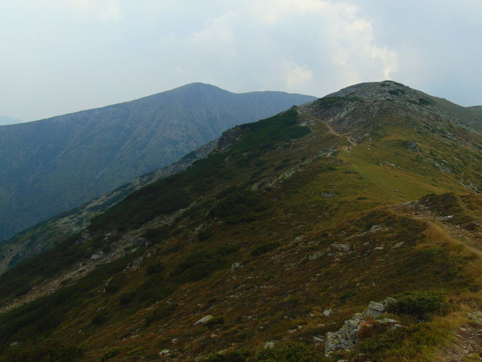 DSC09690