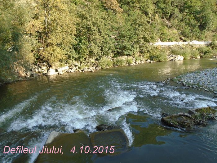 tx 105 defileul jiului  04102015 - 2015_Transalpina_Manastiri