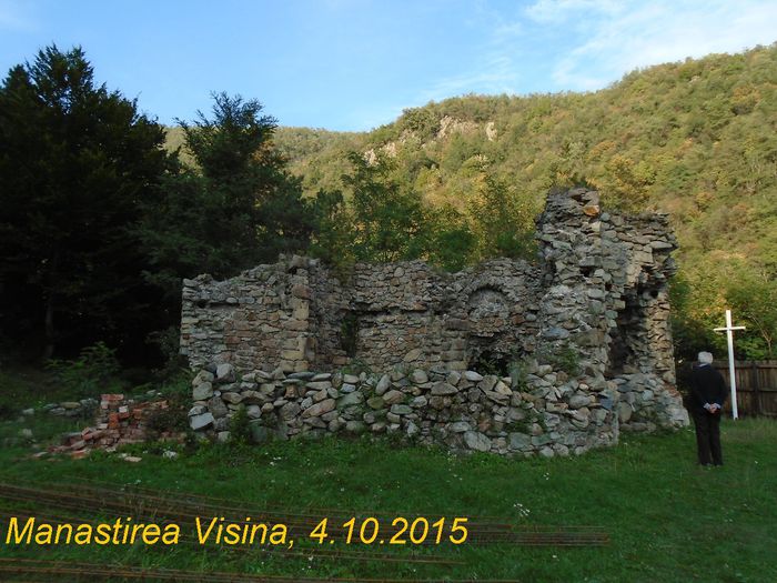 tx 110 manastirea visina  04102015
