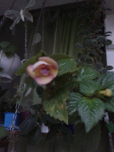 20151005_180243
