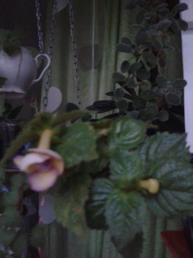20151005_180251