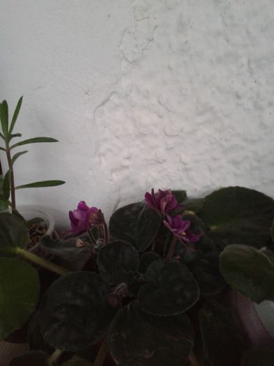 20151005_180324