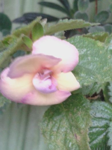 20151006_090500