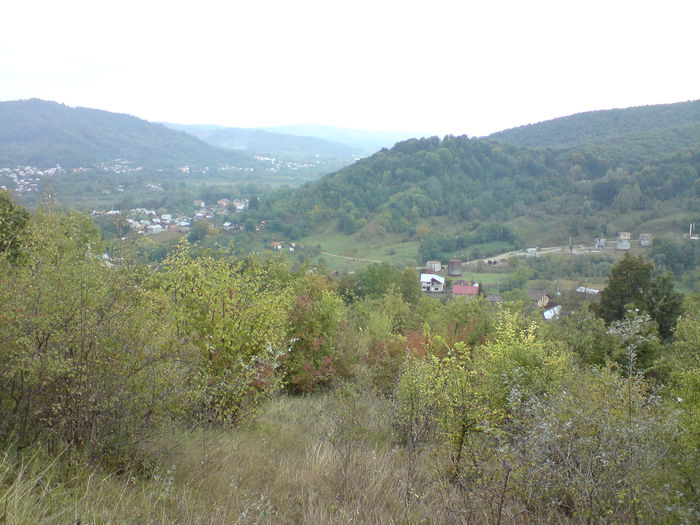 DSC00946 - Vaile noastre cu ape curgatoare