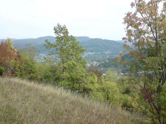 DSC00975 - Vaile noastre cu ape curgatoare