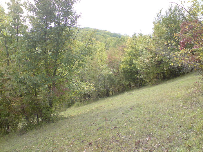 DSC00977 - Vaile noastre cu ape curgatoare