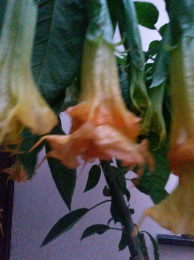 20150927_184717