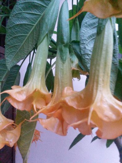 20150930_072812