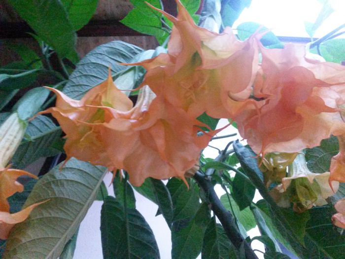 20150930_072826