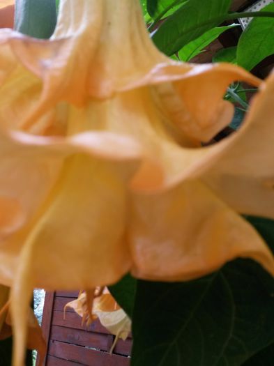 20150930_125856