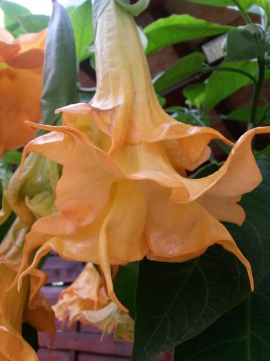 20150930_125903