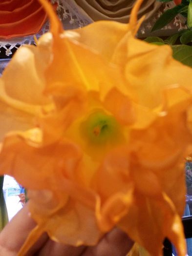 20151008_153633