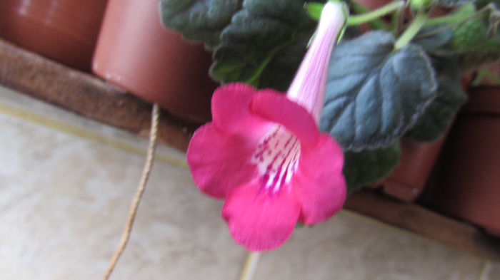 054
