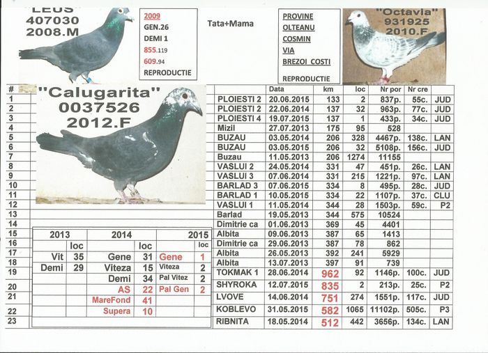 2012.0037526.F - 2-2015 MARATONISTI