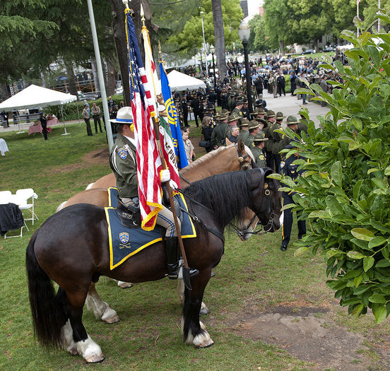 Ceremonie ecvestra