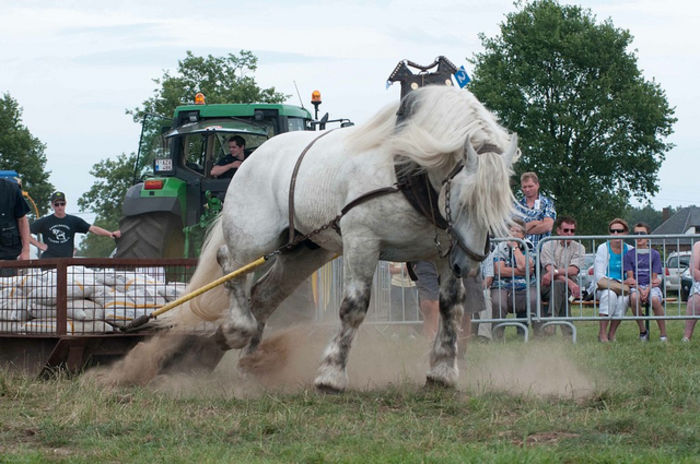 Forta de cal semigreu