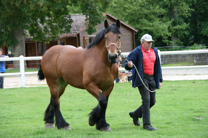 Semigreul cu batranul