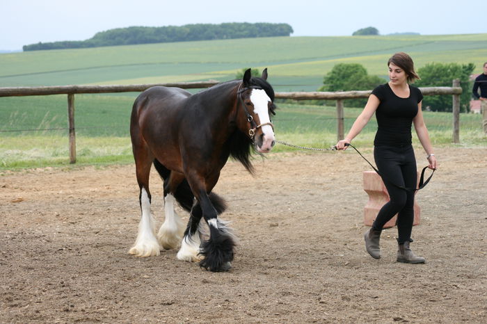 Pinteni la picioare-3