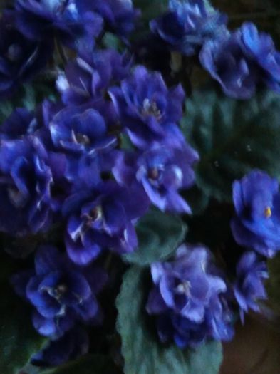 IMG_20151008_111713_BURST001_COVER
