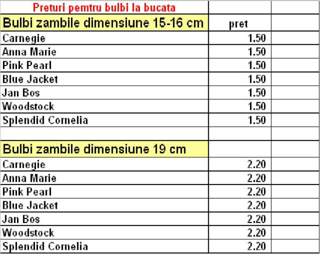 Preturi bulbi la bucata - 3-Sortimnte -BULBI ZAMBILE  disponibili la vanzare 2015-2016