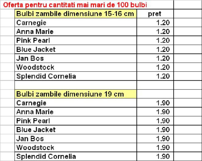 Preturi pentru comenzi mai mari de 100 bulbi bulbi - 3-Sortimnte -BULBI ZAMBILE  disponibili la vanzare 2015-2016